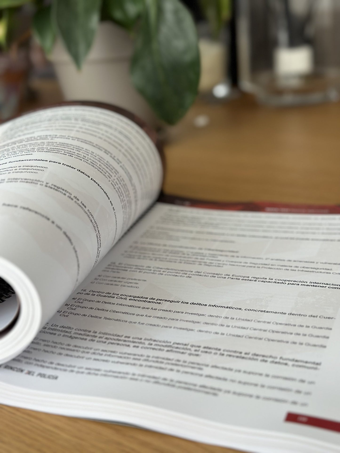 MEGATEST. Libro de exámenes tipo test por tema Oposición Policía Nacional